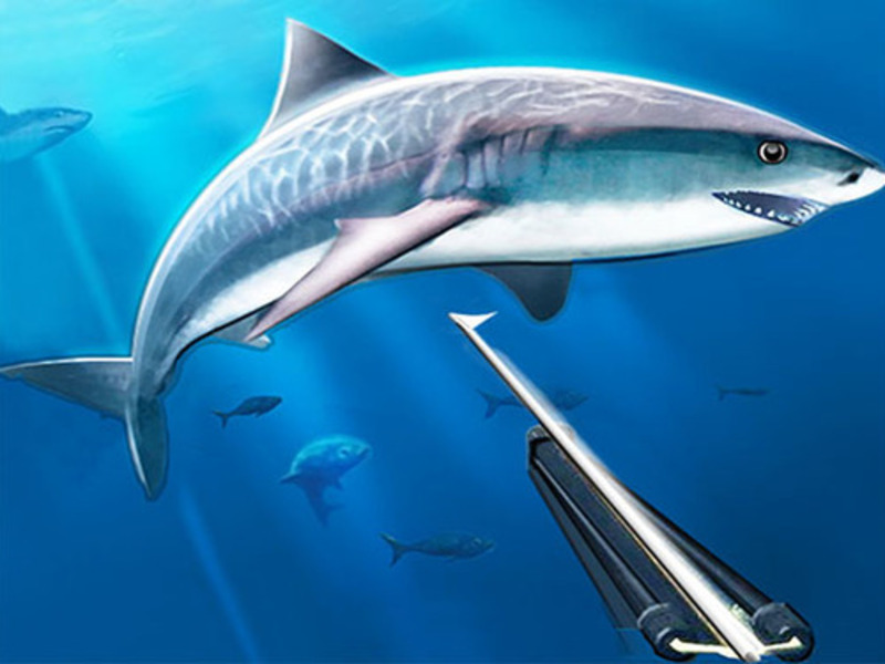 Jeu Chasse sous-marine sous-marine en ligne