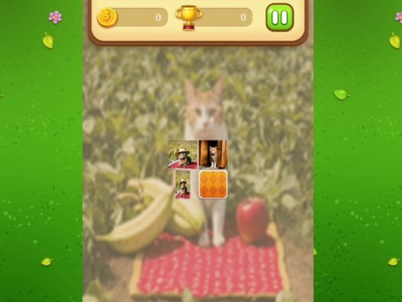 Jeu Match de mémoire de chat de la ferme en ligne