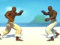 Jeu Capoeira Fighter  en ligne