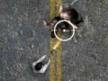 Jeu Undead Highway en ligne