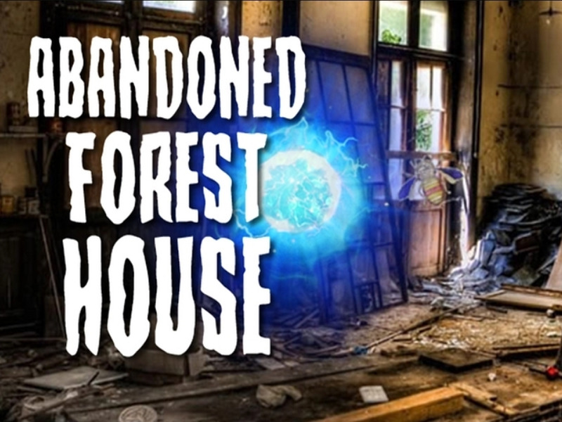 Jeu Maison forestière abandonnée en ligne