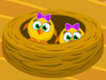 Jeu Enregistrez le poulet en ligne