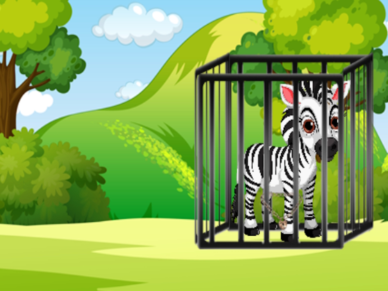 Jeu Les rayures du jardin s'échappent en ligne