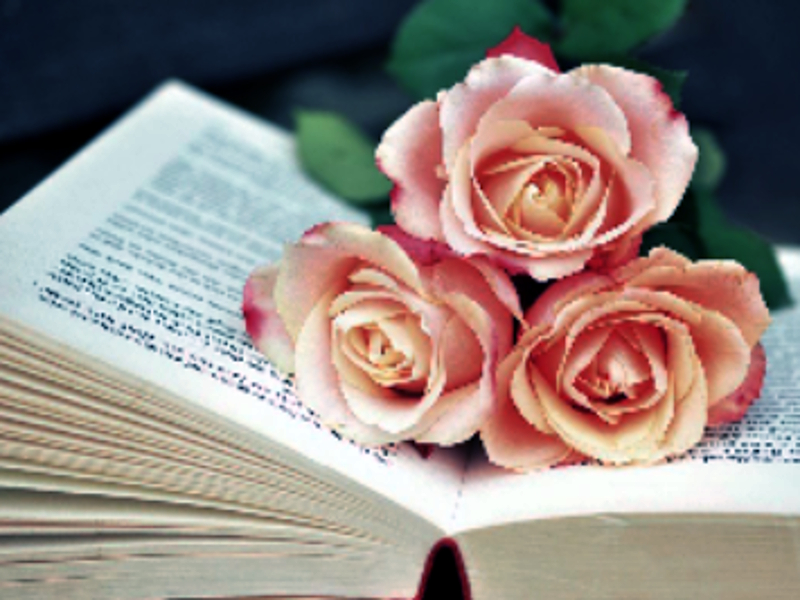 Jeu Book of Blooms Sawsaw en ligne