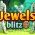 Blitz de bijoux  en ligne